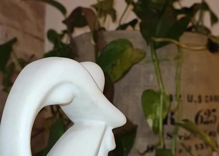 Plein Centre De Maxime * Сент-Максім