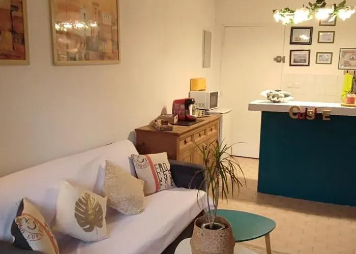 Plein Centre De Maxime *