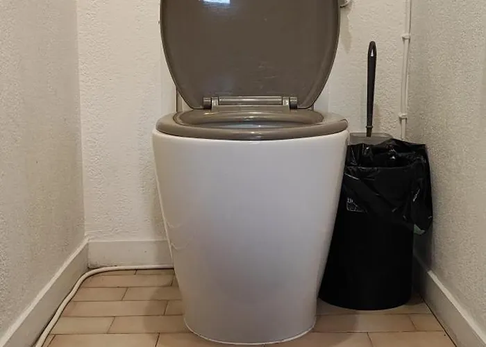 Plein Centre De Maxime *