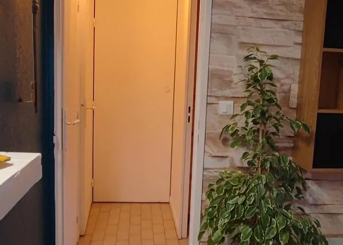 Apartmán Plein Centre De Maxime *